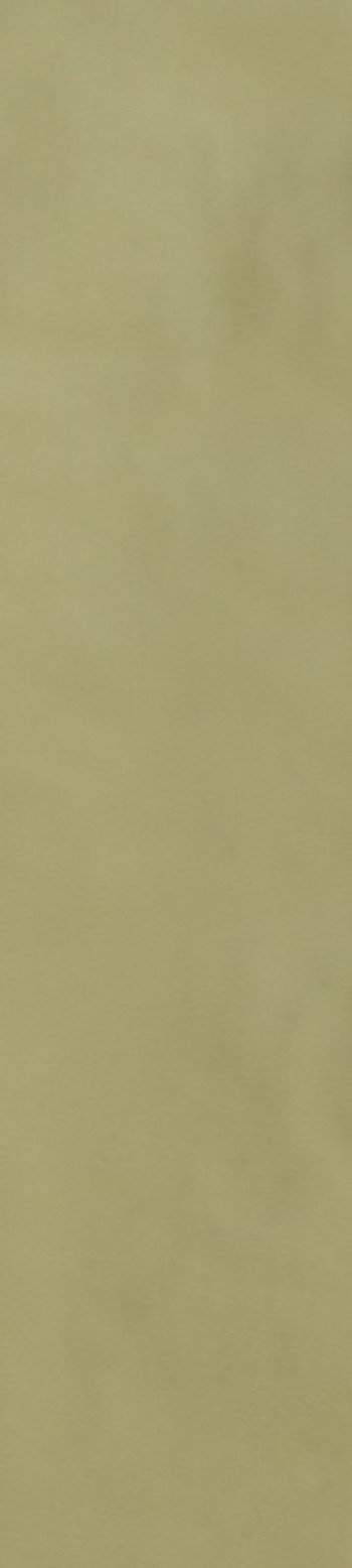 Плитка 23x6 9мм Sensi Colore Salvia Glossy 786011 зеленый однотонная, краска, штукатурка Casa Dolce Casa Плитка 23x6 9мм Sensi Colore Salvia Glossy 786011 зеленый однотонная, краска, штукатурка Casa Dolce Casa
