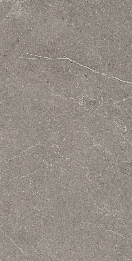 Керамогранит 120x60 8мм матовая с микрогранулами RG6002-A Equistone Graphite серый камень Arcadia Ceramica Керамогранит 120x60 8мм матовая с микрогранулами RG6002-A Equistone Graphite серый камень Arcadia Ceramica