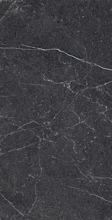 Керамогранит 120x60 8мм матовая с микрогранулами RG6003-A Equistone Charcol черный камень Arcadia Ceramica Керамогранит 120x60 8мм матовая с микрогранулами RG6003-A Equistone Charcol черный камень Arcadia Ceramica