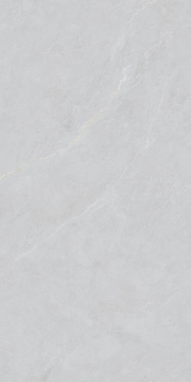 Керамогранит Basconi Home 120x60 Cateye Light Grey BHW-0023 бетон мягкая полировка, структурный серый 10мм Керамогранит Basconi Home 120x60 Cateye Light Grey BHW-0023 бетон мягкая полировка, структурный серый 10мм