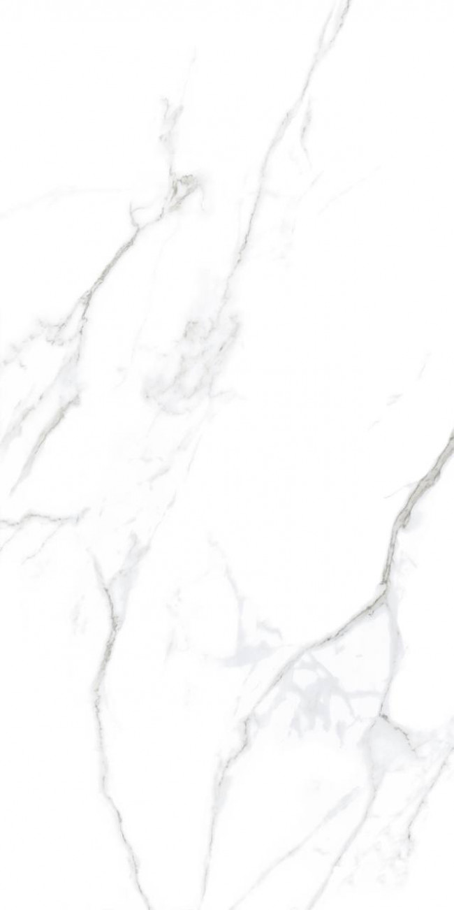 Керамогранит Basconi Home 120x60 Statuario BHW-0005 мрамор матовая белый 10мм Керамогранит Basconi Home 120x60 Statuario BHW-0005 мрамор матовая белый 10мм