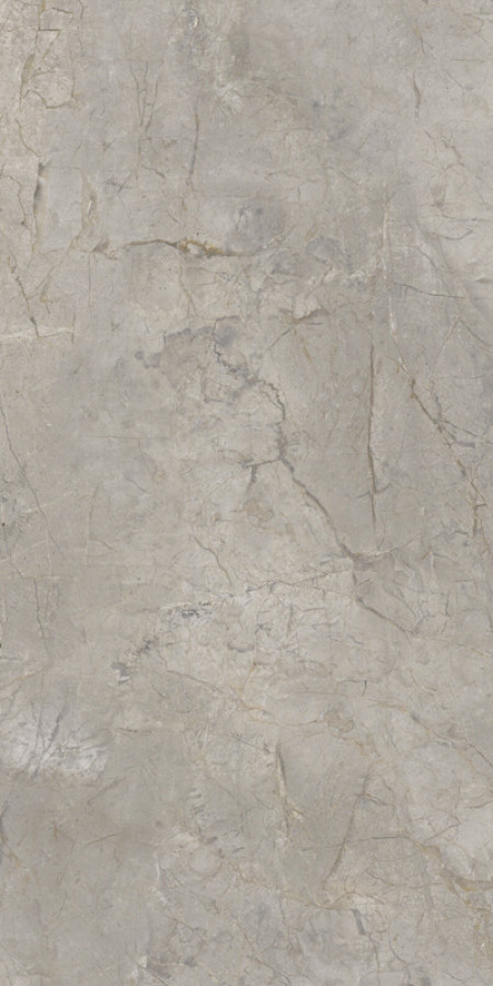 Плитка 120x60 9мм Elements Lux Silver Grey Lappato 2A22 серый мрамор Keope Ceramiche Плитка 120x60 9мм Elements Lux Silver Grey Lappato 2A22 серый мрамор Keope Ceramiche