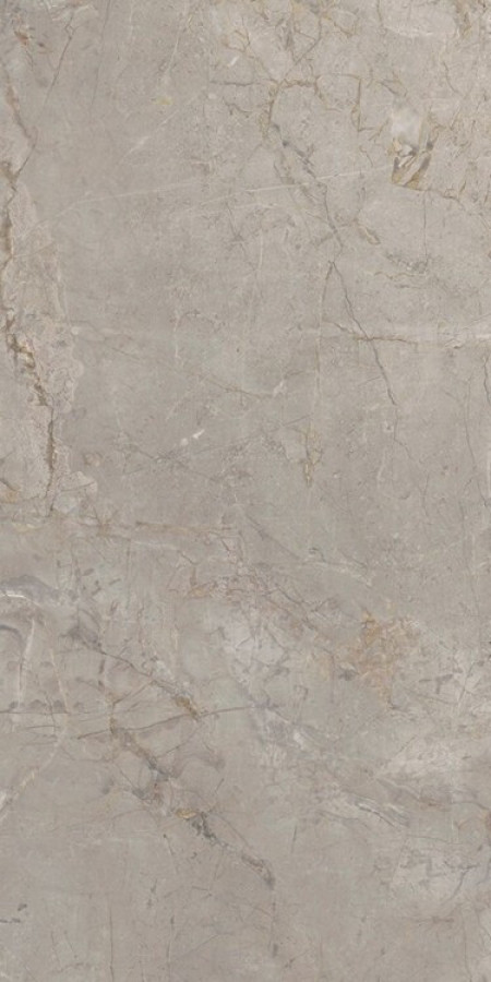Плитка 120x60 9мм Elements Lux Silver Grey Nat 22A2 серый мрамор Keope Ceramiche Плитка 120x60 9мм Elements Lux Silver Grey Nat 22A2 серый мрамор Keope Ceramiche