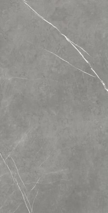 Плитка 160x80 9мм Forte Dei Marmi Elegant Grey Rett 610010002710 матовая серый мрамор Атлас Конкорд Плитка 160x80 9мм Forte Dei Marmi Elegant Grey Rett 610010002710 матовая серый мрамор Атлас Конкорд