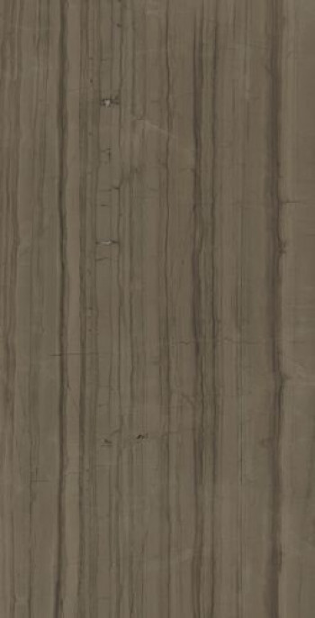 Плитка 160x80 9мм Charme Advance Elegant Brown Ret 610010002163 матовая коричневый Италон Плитка 160x80 9мм Charme Advance Elegant Brown Ret 610010002163 матовая коричневый Италон