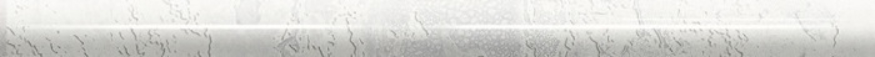 Плитка Ape 30x2 Torello Snap White глянцевая Плитка Ape 30x2 Torello Snap White глянцевая