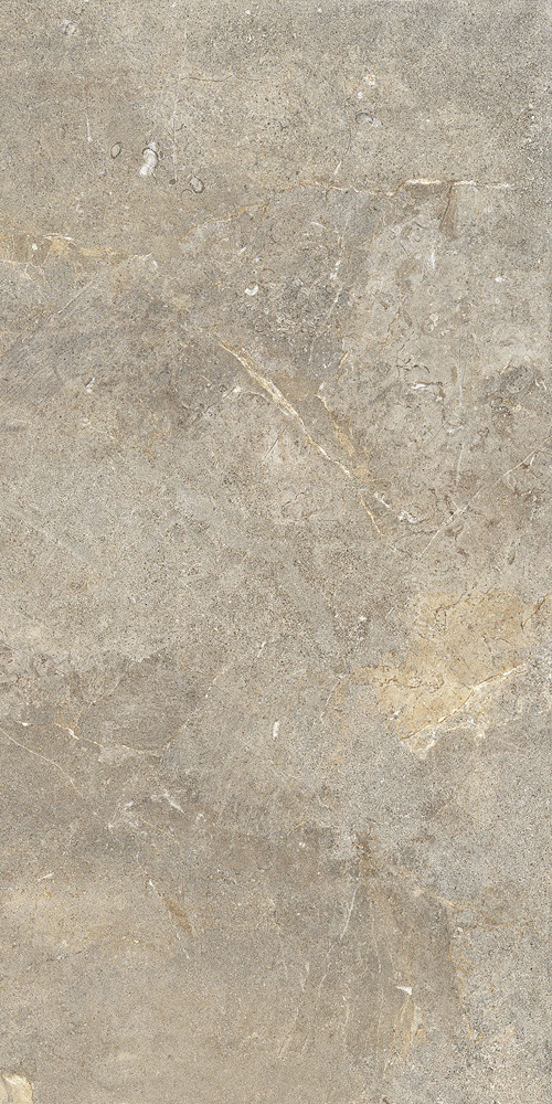 Керамогранит Cercom 120x60 Everbrown Retp матовая 9.5мм Керамогранит Cercom 120x60 Everbrown Retp матовая 9.5мм